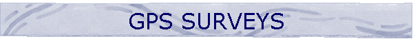 GPS SURVEYS