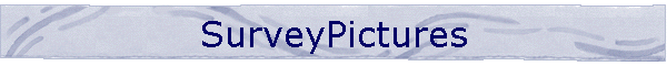 SurveyPictures